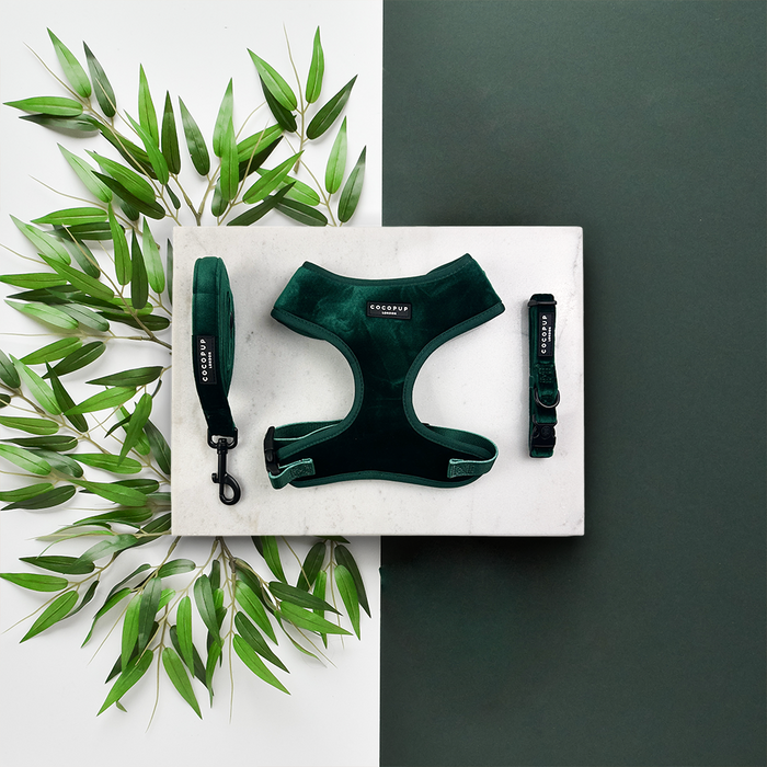 Forest green velvet adjustable harness, collar, and lead set from Cocopup London arranged on marble with leafy branches.