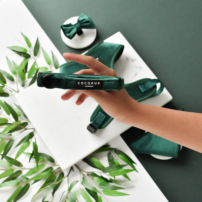 Hand holds green velvet adjustable neck harness with matching bundle on marble, accented by scattered green leaves.