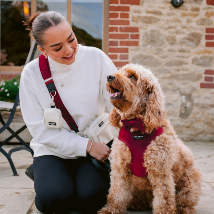 Woman kneeling by a dog in maroon harness; velvet berry red Cocopup London bag strap lies beside them.