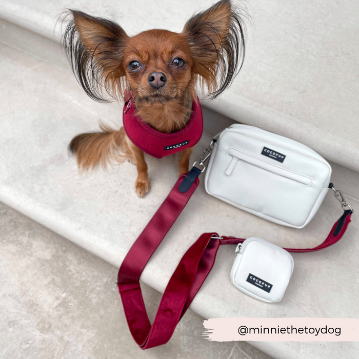 white dog walking bag with red velvet bag strap next to small dog