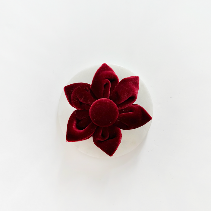 Berry red velvet five-petal dog collar flower accessory by Cocopup London.