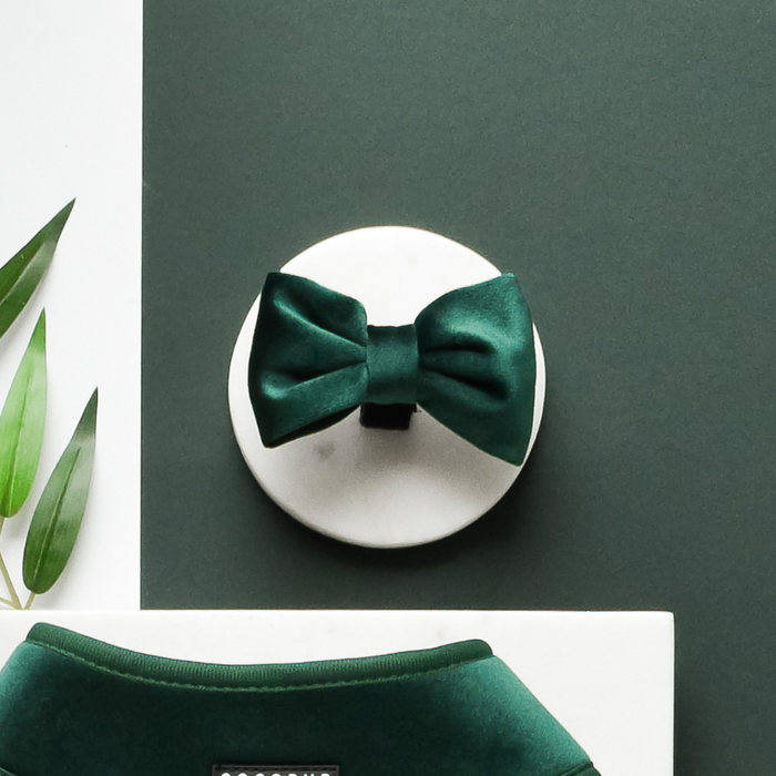 Forest green velvet bow tie on a white stand with matching dog accessory and scattered green leaves.