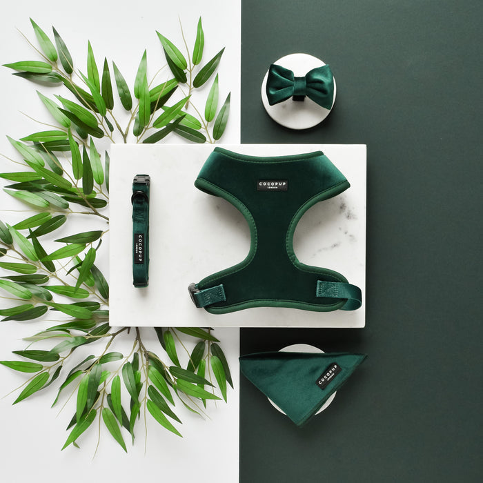 Forest green velvet bow tie with matching harness and collar displayed on marble surrounded by green leaves.