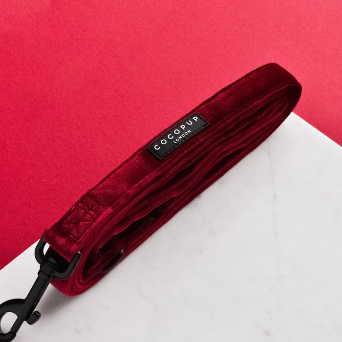 Berry red velvet dog lead with gold hardware by Cocopup London, displayed on marble and red backgrounds.