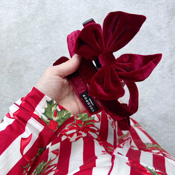 Hand in striped pajamas holding a berry red velvet dog lead against a plain, light background.