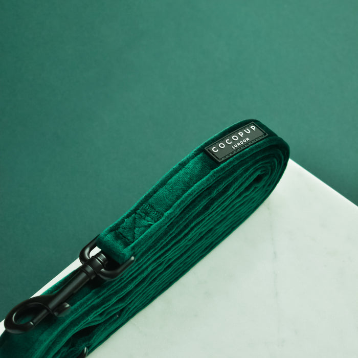 Forest green velvet dog lead with a black clasp, rolled neatly on a white surface.