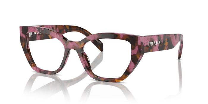 Cognac Begonia Tortoise / 51