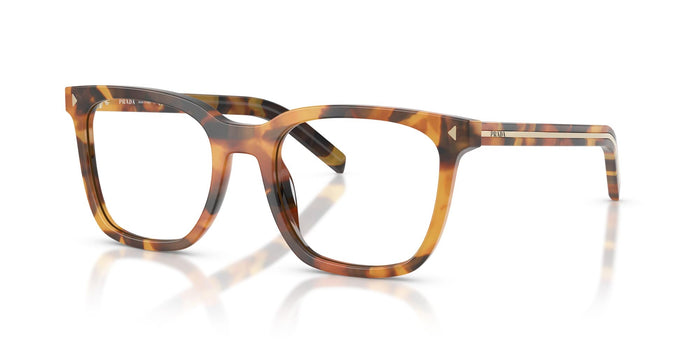 Cinnamon Tortoise / 52