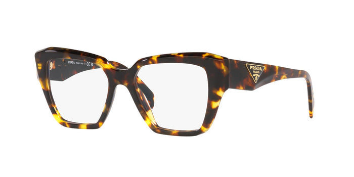 Honey Tortoise / 49