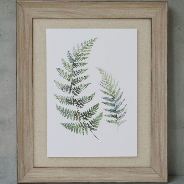 Watercolour Fern Duo In Washed Wood Frame