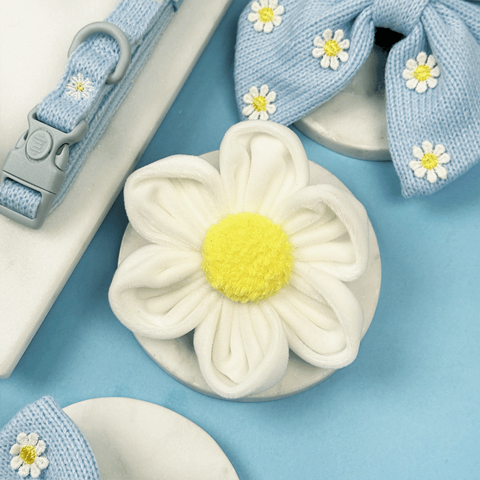 White flower with yellow centre, to attach to Dog Harness or Collar.