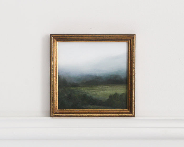 Wild Field | 5x5.25