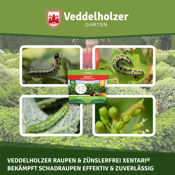 Verpackung vor einer Hecke, ringsum vier Nahaufnahmen fressender Schadraupen auf Blättern und Knospen