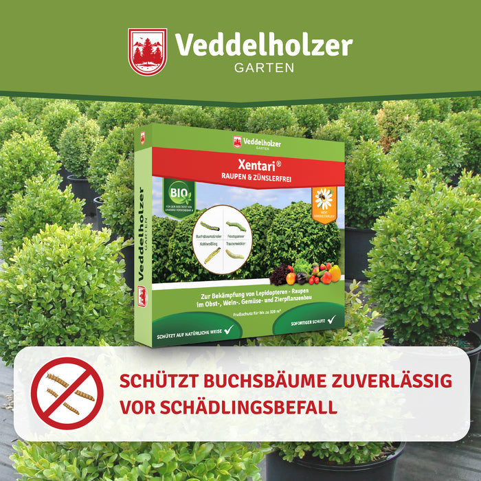 Verpackung vor Buchsbäumen in Pflanztöpfen – Bildtext „Schützt Buchsbäume zuverlässig vor Schädlingsbefall“