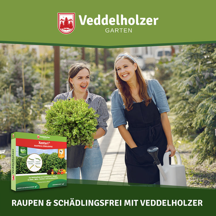 Zwei lachende Frauen in der Gärtnerei, eine mit Buchsbaum im Topf, die andere mit Gießkanne, davor die Verpackung