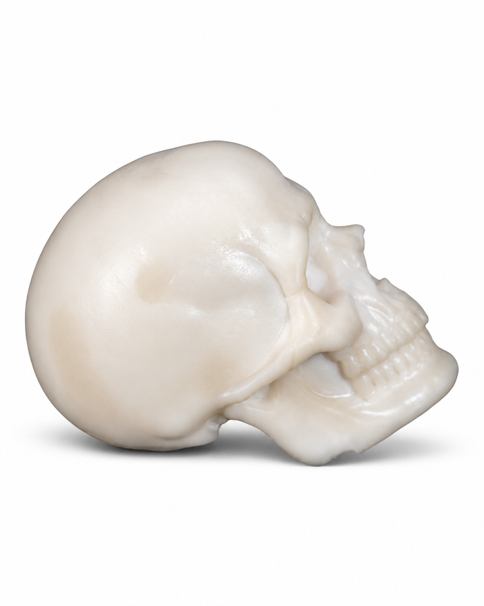 Yorick - Custom