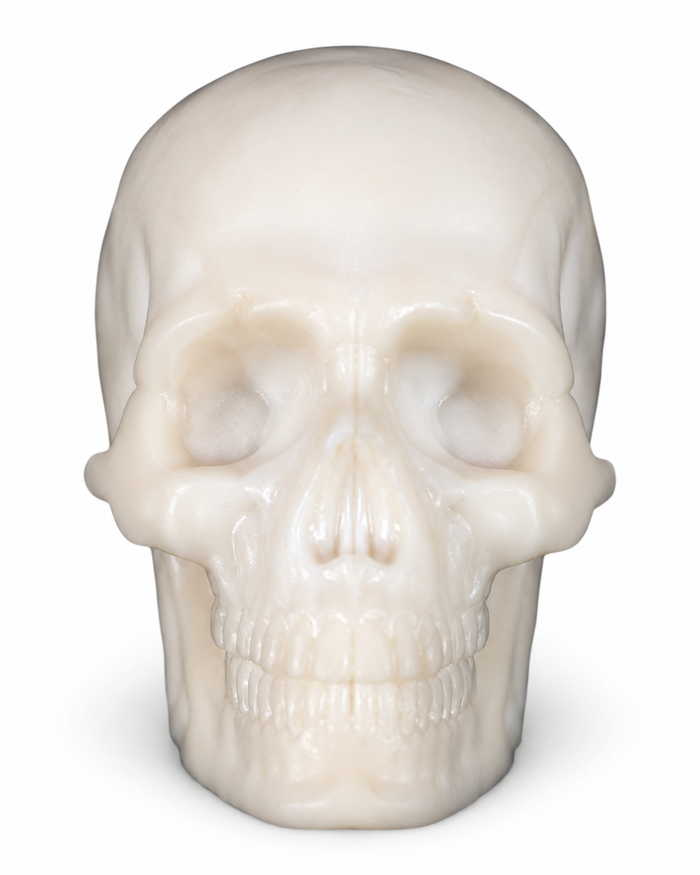 Yorick - Custom