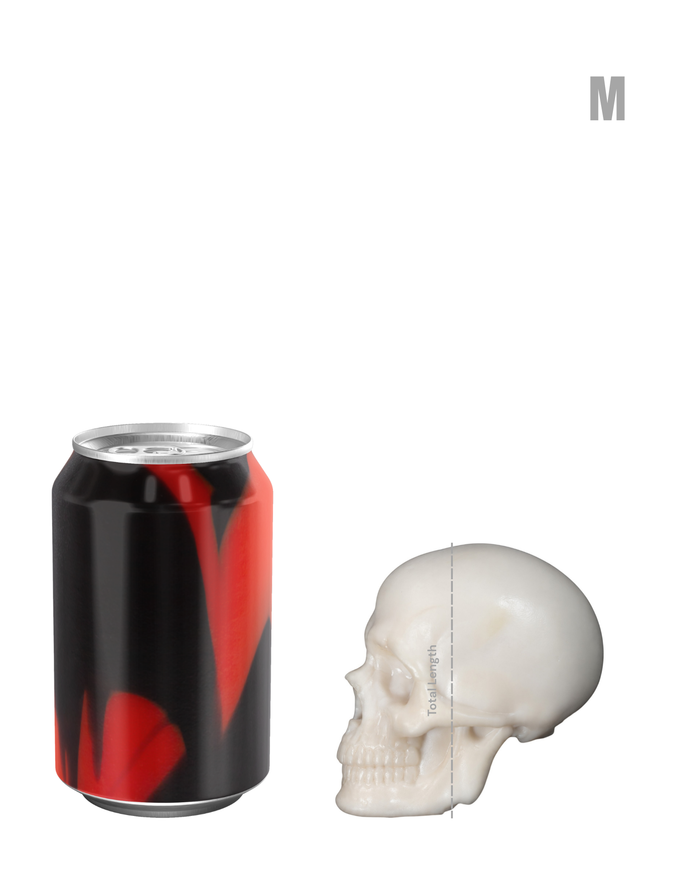 Yorick - Custom